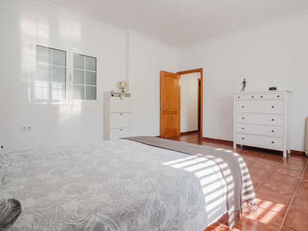 Ingenio, Las Palmas, 35250