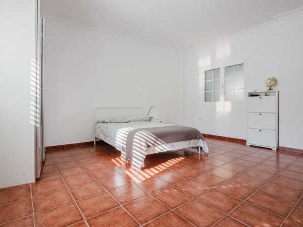 Ingenio, Las Palmas, 35250