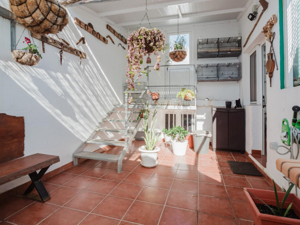 Ingenio, Las Palmas, 35250