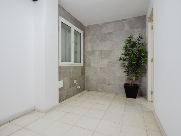 Ingenio, Las Palmas, 35250
