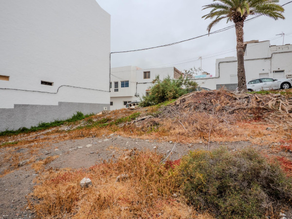 Arucas, Las Palmas, 35414