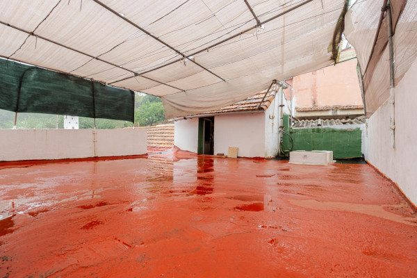 Vega de San Mateo, Las Palmas, 35320