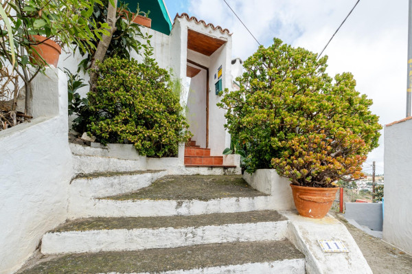 Teror, Las Palmas, 35339