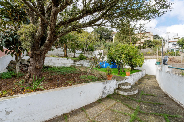 Teror, Las Palmas, 35339