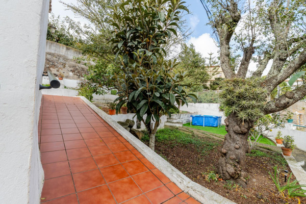 Teror, Las Palmas, 35339