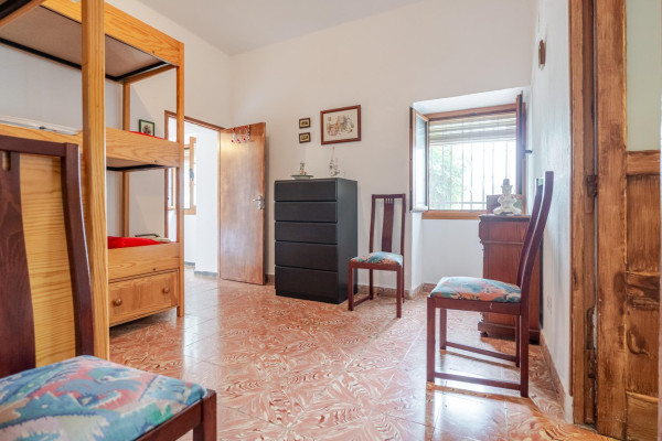 Teror, Las Palmas, 35339