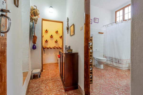 Teror, Las Palmas, 35339