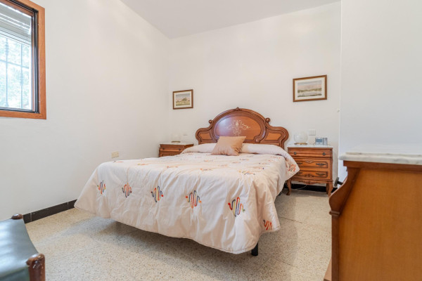 Teror, Las Palmas, 35339