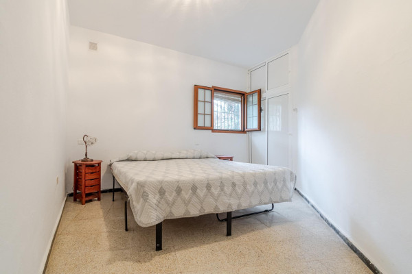 Teror, Las Palmas, 35339