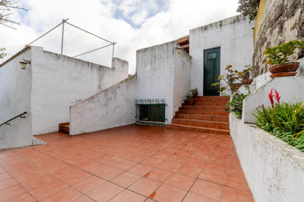 Teror, Las Palmas, 35339