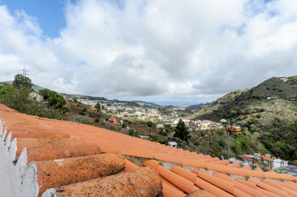 Teror, Las Palmas, 35339