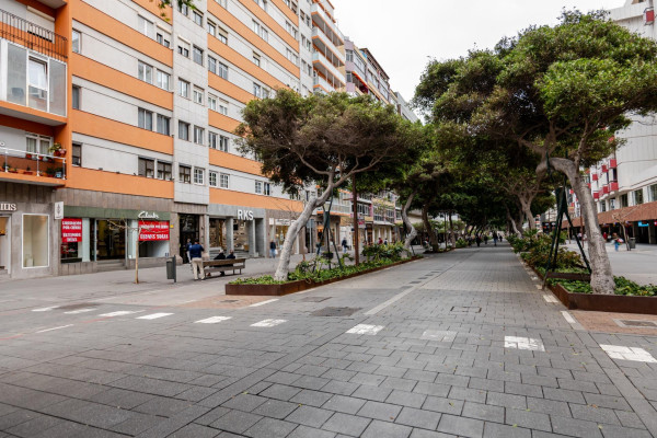Las Palmas de Gran Canaria, Las Palmas, 35006