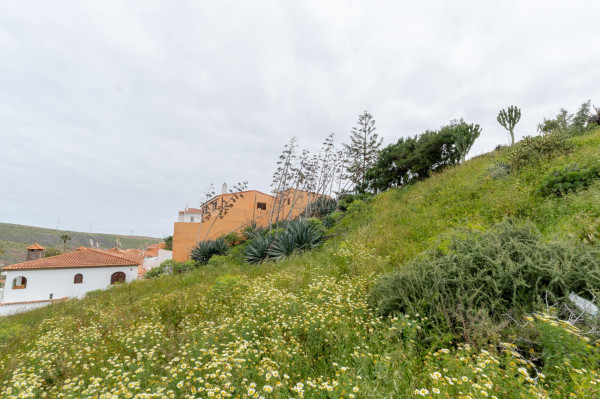 Las Palmas de Gran Canaria, Las Palmas, 35229