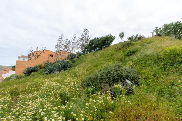 Las Palmas de Gran Canaria, Las Palmas, 35229