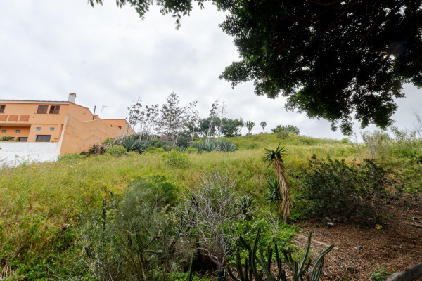 Las Palmas de Gran Canaria, Las Palmas, 35229