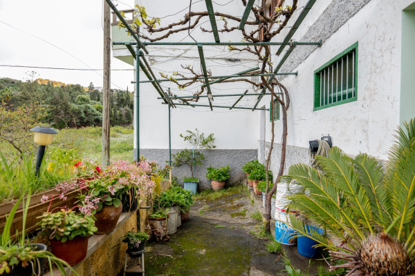 Santa Brígida, Las Palmas, 35309