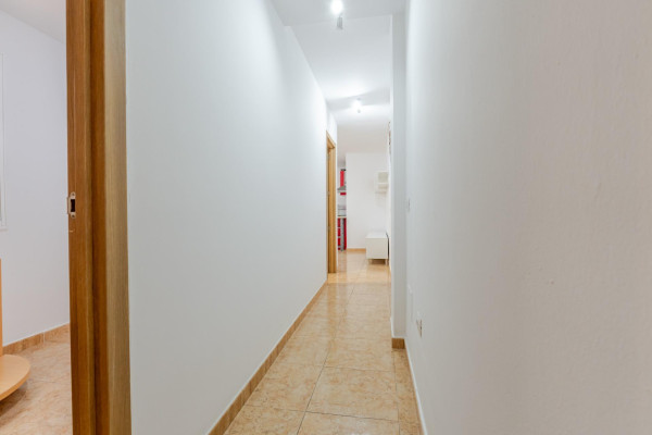 Ingenio, Las Palmas, 35250