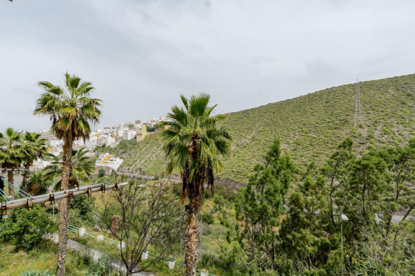 Las Palmas de Gran Canaria, Las Palmas, 35015