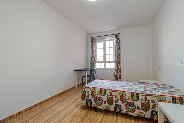 Ingenio, Las Palmas, 35250