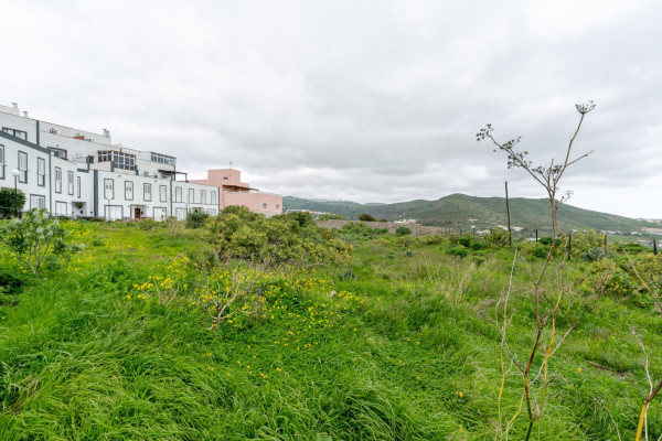 Las Palmas de Gran Canaria, Las Palmas, 35018