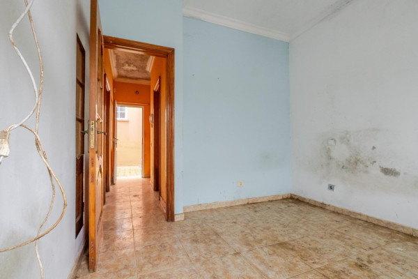Teror, Las Palmas, 35338