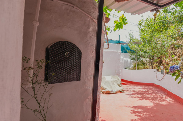 Teror, Las Palmas, 35338