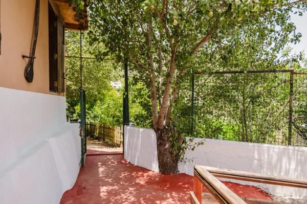 Teror, Las Palmas, 35338