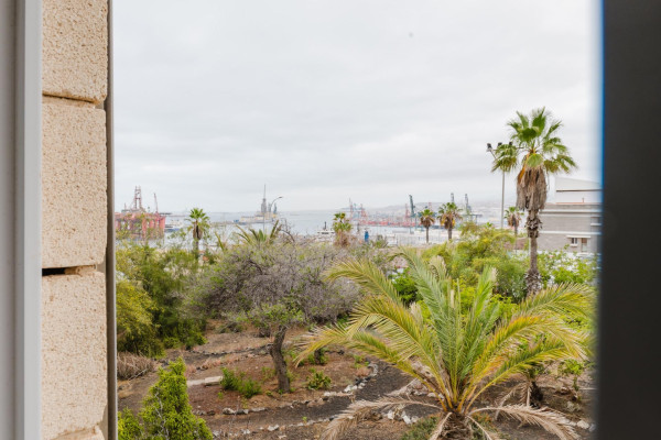Las Palmas de Gran Canaria, Las Palmas, 35008